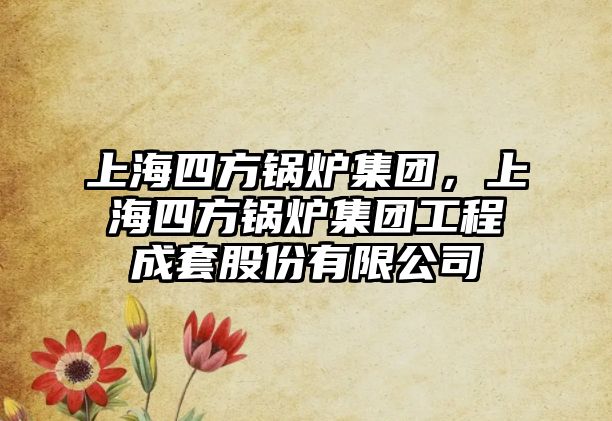 上海四方鍋爐集團(tuán)，上海四方鍋爐集團(tuán)工程成套股份有限公司