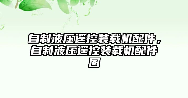 自制液壓遙控裝載機配件，自制液壓遙控裝載機配件圖