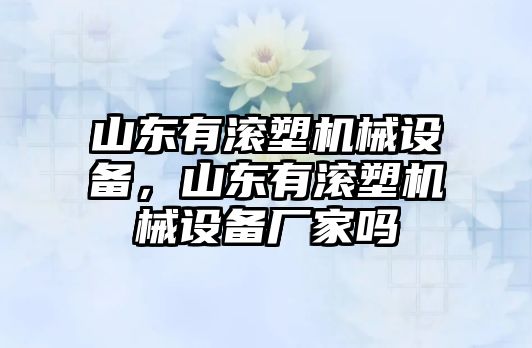 山東有滾塑機(jī)械設(shè)備，山東有滾塑機(jī)械設(shè)備廠家嗎