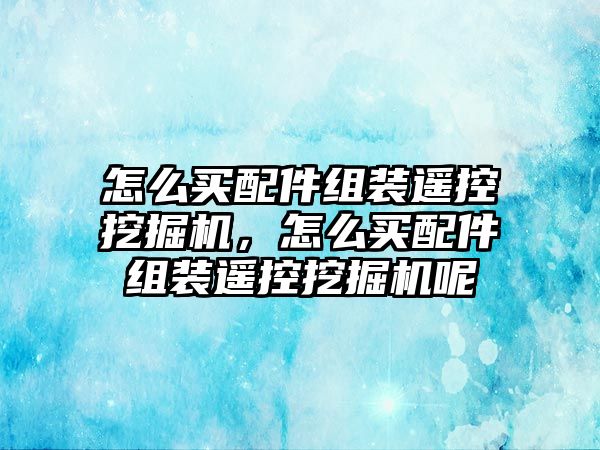 怎么買配件組裝遙控挖掘機(jī)，怎么買配件組裝遙控挖掘機(jī)呢