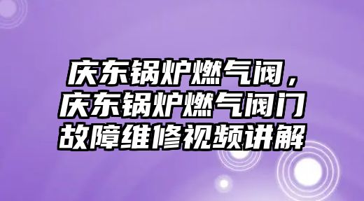 慶東鍋爐燃氣閥，慶東鍋爐燃氣閥門故障維修視頻講解