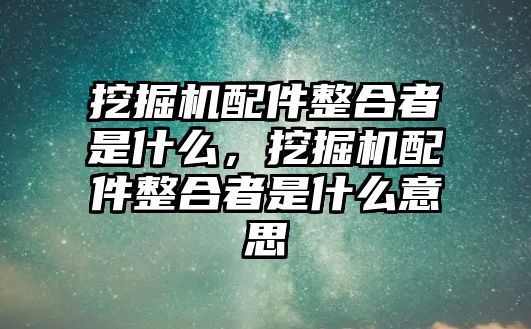 挖掘機配件整合者是什么，挖掘機配件整合者是什么意思