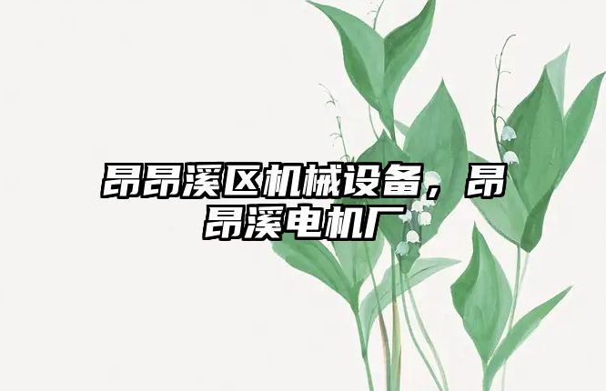 昂昂溪區(qū)機械設備，昂昂溪電機廠