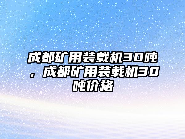 成都礦用裝載機(jī)30噸，成都礦用裝載機(jī)30噸價(jià)格