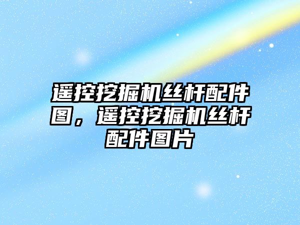 遙控挖掘機絲桿配件圖，遙控挖掘機絲桿配件圖片