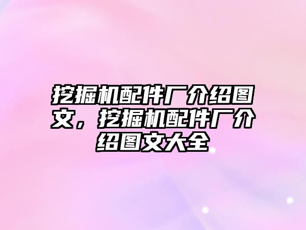 挖掘機配件廠介紹圖文，挖掘機配件廠介紹圖文大全