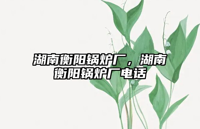 湖南衡陽鍋爐廠，湖南衡陽鍋爐廠電話