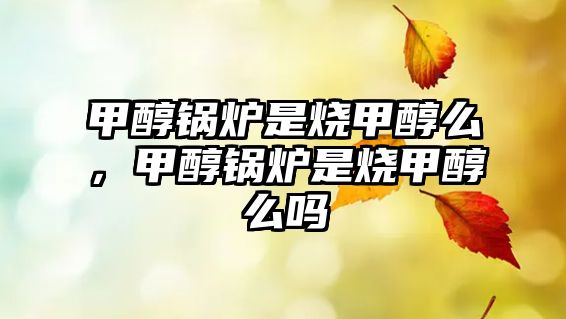 甲醇鍋爐是燒甲醇么，甲醇鍋爐是燒甲醇么嗎