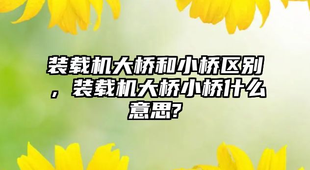 裝載機大橋和小橋區(qū)別，裝載機大橋小橋什么意思?