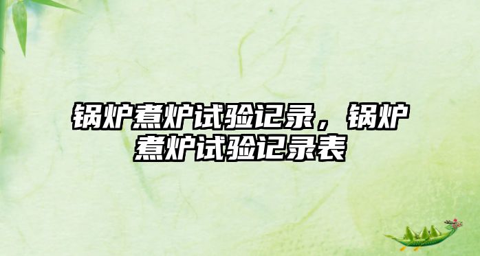 鍋爐煮爐試驗記錄，鍋爐煮爐試驗記錄表