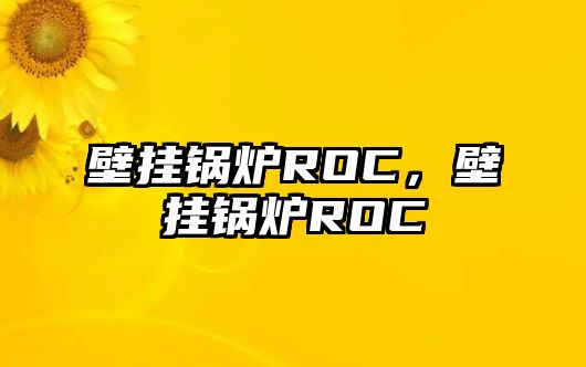 壁掛鍋爐ROC，壁掛鍋爐ROC