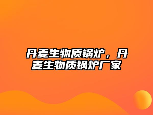 丹麥生物質鍋爐，丹麥生物質鍋爐廠家