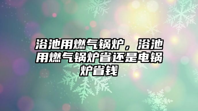 浴池用燃?xì)忮仩t，浴池用燃?xì)忮仩t省還是電鍋爐省錢