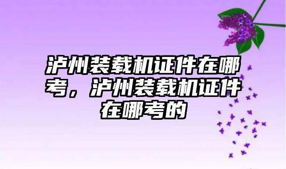 瀘州裝載機證件在哪考，瀘州裝載機證件在哪考的