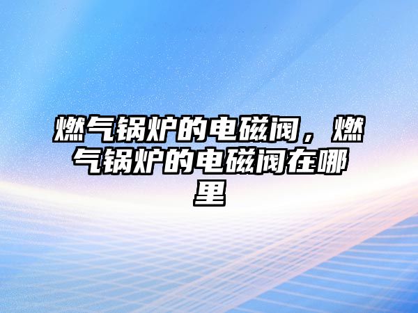 燃?xì)忮仩t的電磁閥，燃?xì)忮仩t的電磁閥在哪里