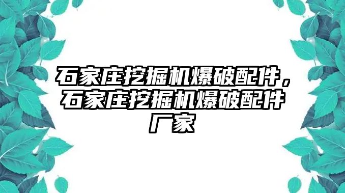 石家莊挖掘機爆破配件，石家莊挖掘機爆破配件廠家