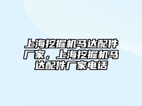 上海挖掘機馬達配件廠家，上海挖掘機馬達配件廠家電話