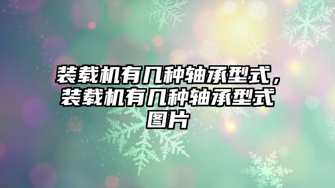 裝載機(jī)有幾種軸承型式，裝載機(jī)有幾種軸承型式圖片