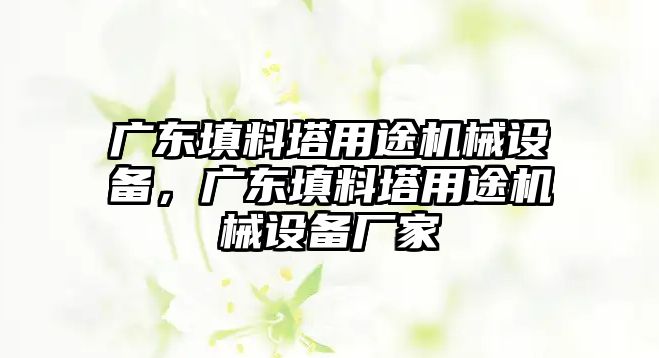 廣東填料塔用途機械設(shè)備，廣東填料塔用途機械設(shè)備廠家