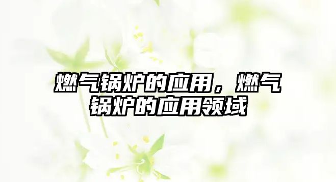 燃?xì)忮仩t的應(yīng)用，燃?xì)忮仩t的應(yīng)用領(lǐng)域