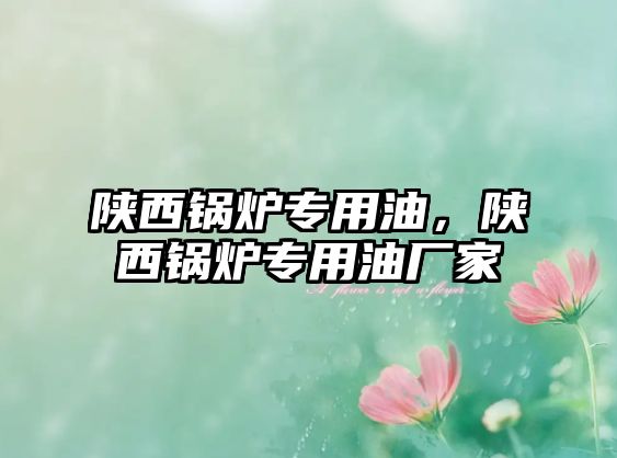 陜西鍋爐專用油，陜西鍋爐專用油廠家