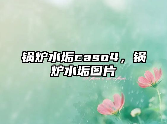 鍋爐水垢caso4，鍋爐水垢圖片