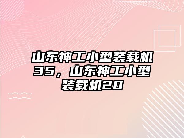 山東神工小型裝載機(jī)35，山東神工小型裝載機(jī)20
