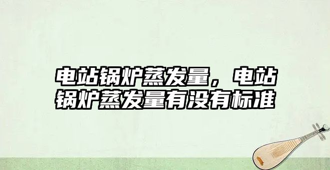 電站鍋爐蒸發(fā)量，電站鍋爐蒸發(fā)量有沒(méi)有標(biāo)準(zhǔn)