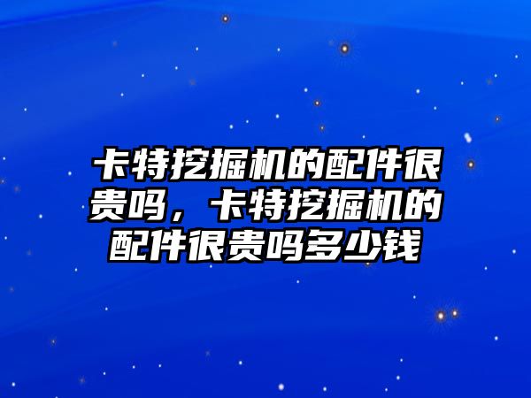 卡特挖掘機的配件很貴嗎，卡特挖掘機的配件很貴嗎多少錢