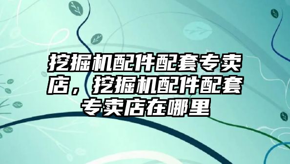 挖掘機配件配套專賣店，挖掘機配件配套專賣店在哪里