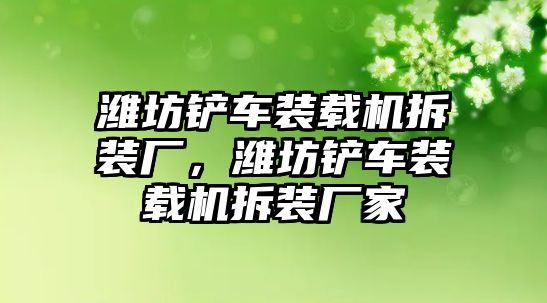 濰坊鏟車裝載機拆裝廠，濰坊鏟車裝載機拆裝廠家