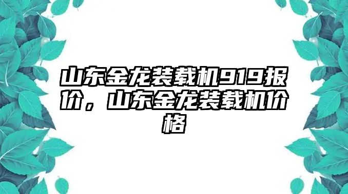 山東金龍裝載機(jī)919報(bào)價(jià)，山東金龍裝載機(jī)價(jià)格