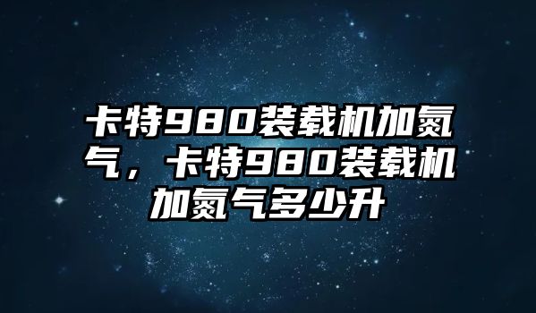 卡特980裝載機加氮氣，卡特980裝載機加氮氣多少升