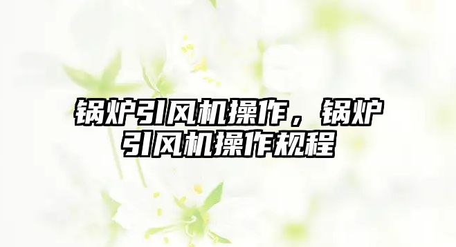 鍋爐引風(fēng)機操作，鍋爐引風(fēng)機操作規(guī)程