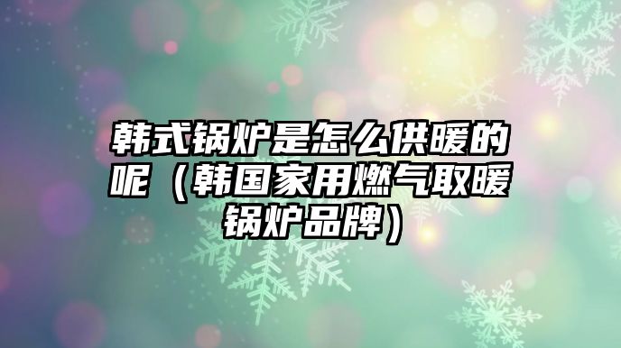 韓式鍋爐是怎么供暖的呢（韓國家用燃?xì)馊∨仩t品牌）