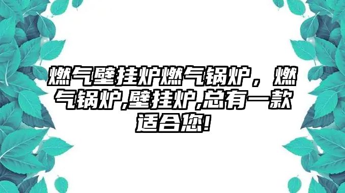 燃?xì)獗趻鞝t燃?xì)忮仩t，燃?xì)忮仩t,壁掛爐,總有一款適合您!