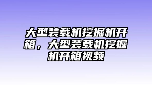 大型裝載機(jī)挖掘機(jī)開(kāi)箱，大型裝載機(jī)挖掘機(jī)開(kāi)箱視頻