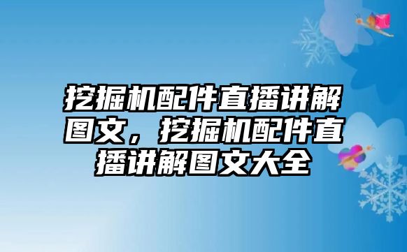 挖掘機配件直播講解圖文，挖掘機配件直播講解圖文大全