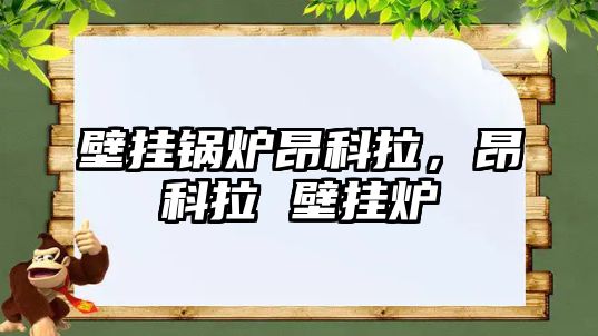 壁掛鍋爐昂科拉，昂科拉 壁掛爐