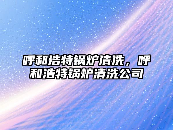 呼和浩特鍋爐清洗，呼和浩特鍋爐清洗公司