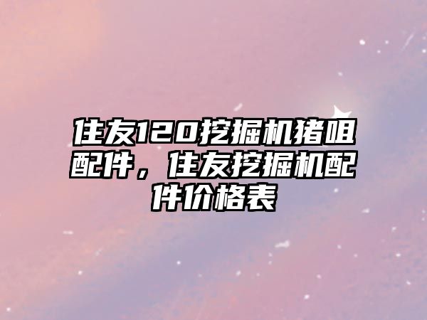 住友120挖掘機(jī)豬咀配件，住友挖掘機(jī)配件價(jià)格表