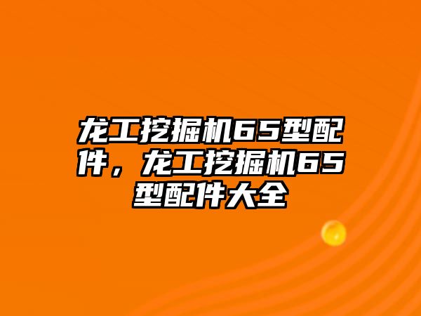 龍工挖掘機(jī)65型配件，龍工挖掘機(jī)65型配件大全