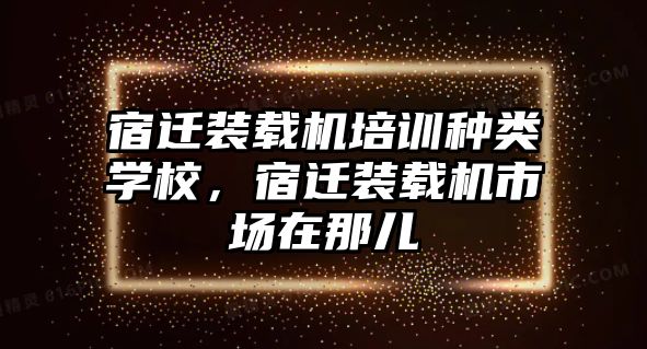 宿遷裝載機培訓(xùn)種類學(xué)校，宿遷裝載機市場在那兒