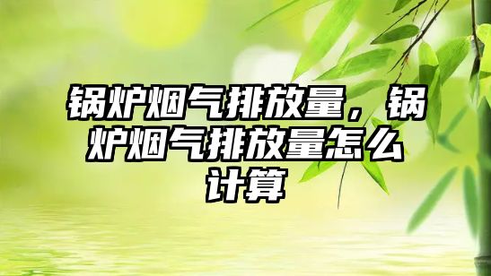 鍋爐煙氣排放量，鍋爐煙氣排放量怎么計算