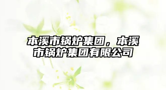 本溪市鍋爐集團(tuán)，本溪市鍋爐集團(tuán)有限公司