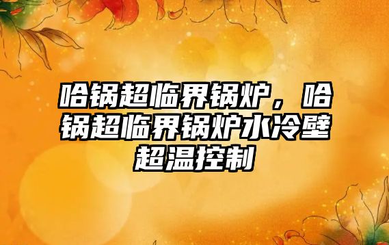 哈鍋超臨界鍋爐，哈鍋超臨界鍋爐水冷壁超溫控制