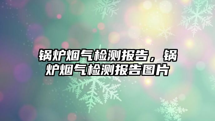 鍋爐煙氣檢測(cè)報(bào)告，鍋爐煙氣檢測(cè)報(bào)告圖片