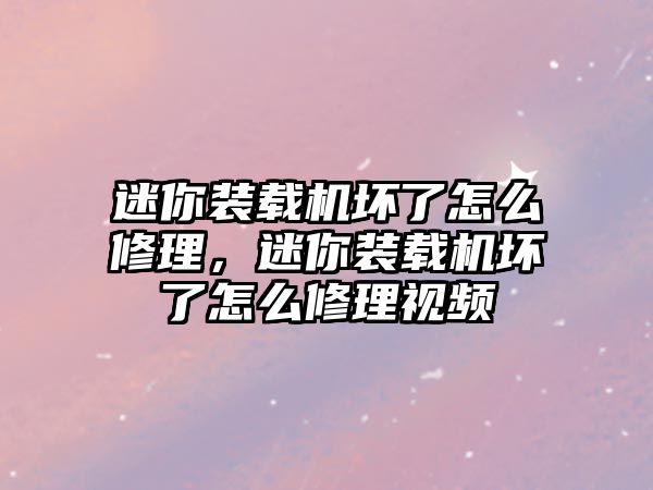 迷你裝載機壞了怎么修理，迷你裝載機壞了怎么修理視頻