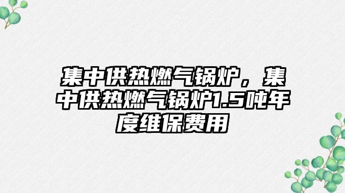 集中供熱燃氣鍋爐，集中供熱燃氣鍋爐1.5噸年度維保費用