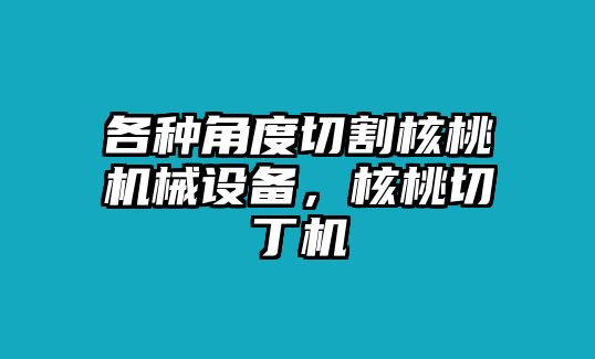 各種角度切割核桃機(jī)械設(shè)備，核桃切丁機(jī)